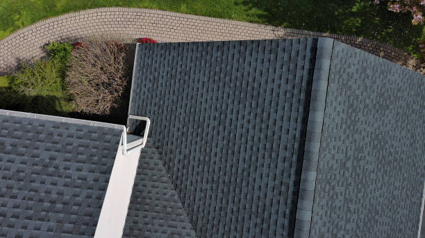 Best Asphalt Shingle Roofing  in Ogden Dunes, IN